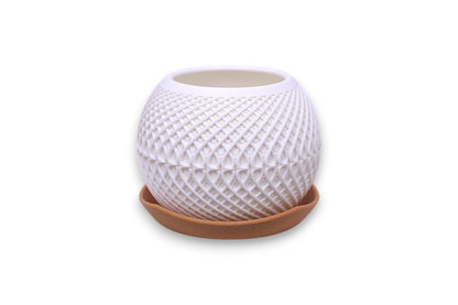 White textured plant pot with a gold base on a white background