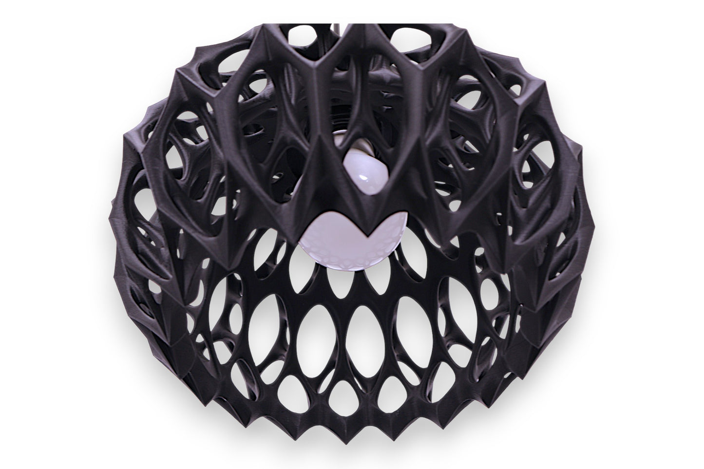 Matte black lattice structure with organic web-like geometry