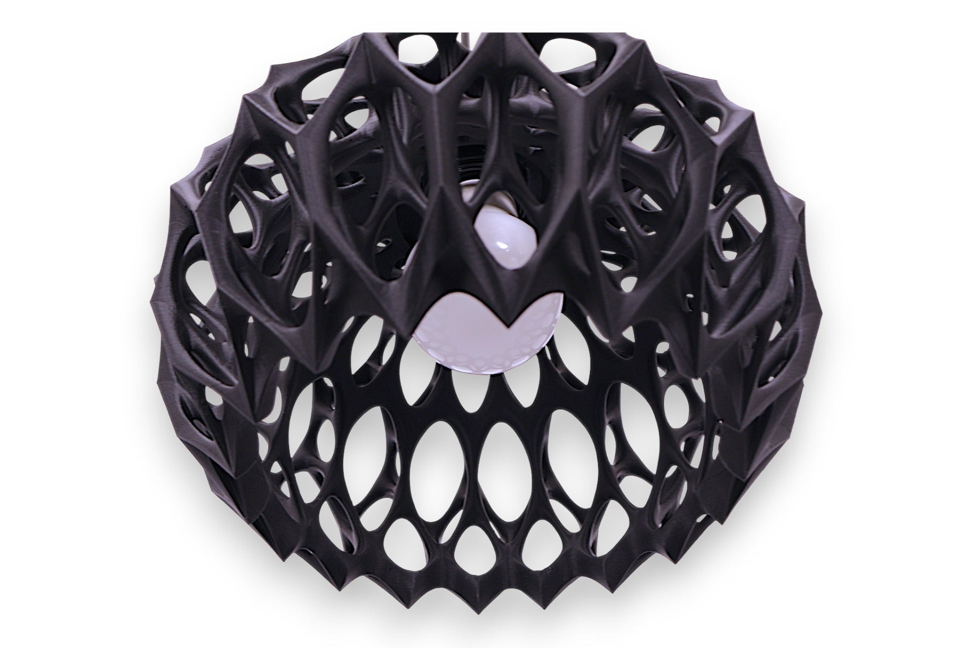 Matte black lattice structure with organic web-like geometry