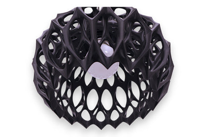 Matte black lattice structure with organic web-like geometry