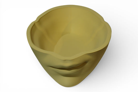 “Sculptural bowl shaped like a human face with detailed lips and nose, blending artistic design with functional form.”